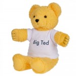 Big Ted 40 cm - Play School